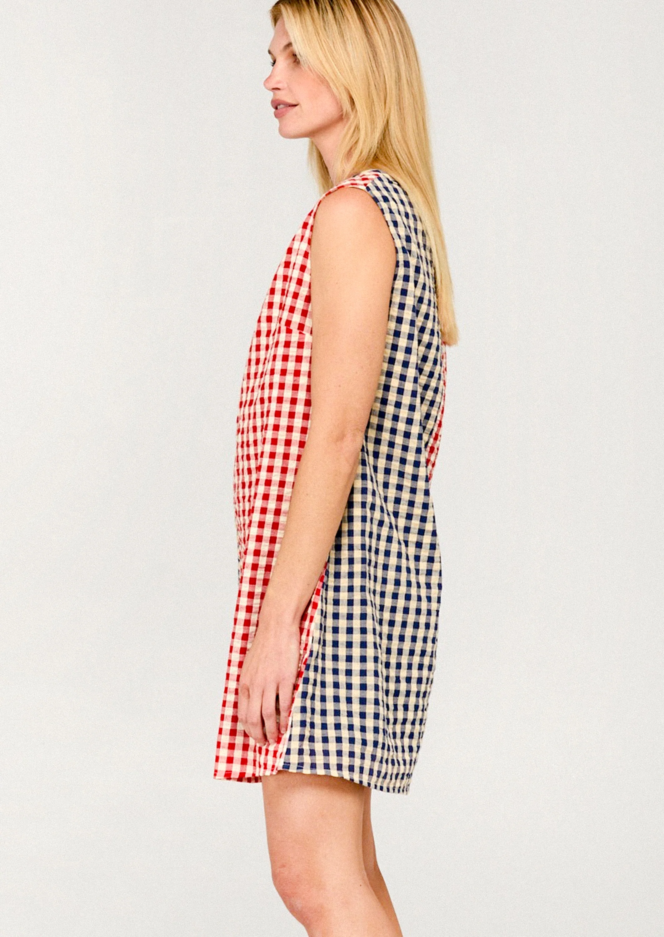 Gillie Gingham Shift Dress - Image 4